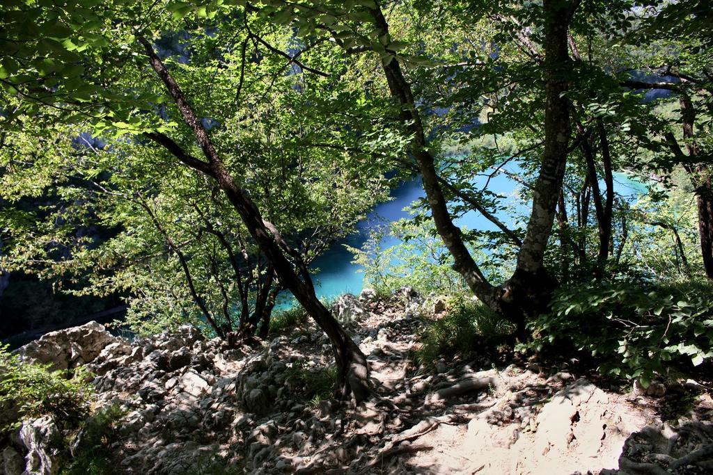 Guesthouse Blazenka Hodak Selište Drežničko Eksteriør bilde